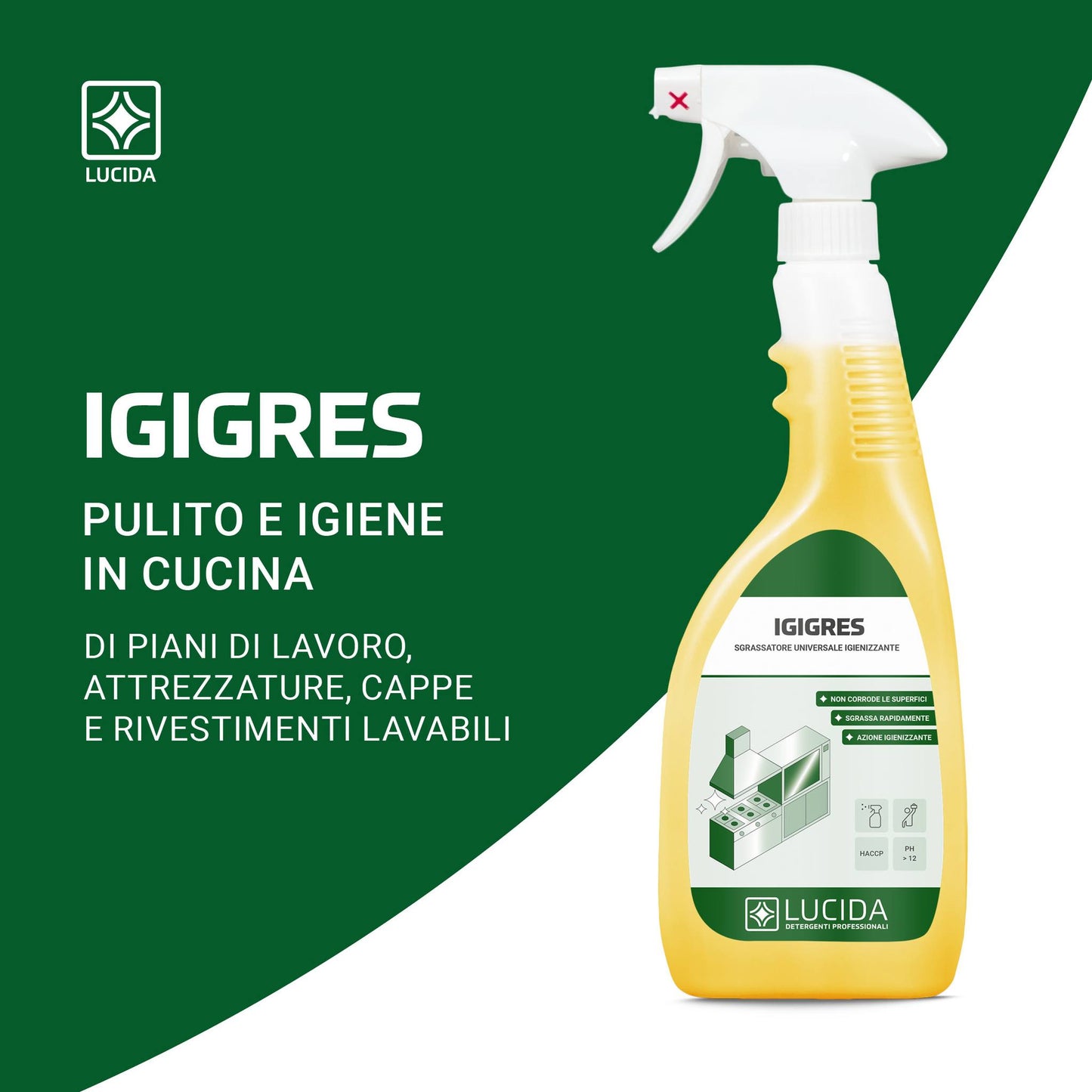 IGIGRES sgrassatore universale igienizzante